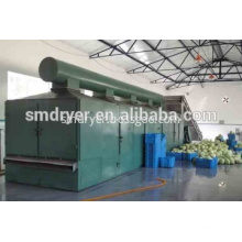 DW Mesh Belt Drying Machine